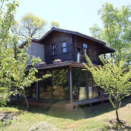 House With Backyard And Winter Garden In Agva Villa Geredeli Luaran gambar