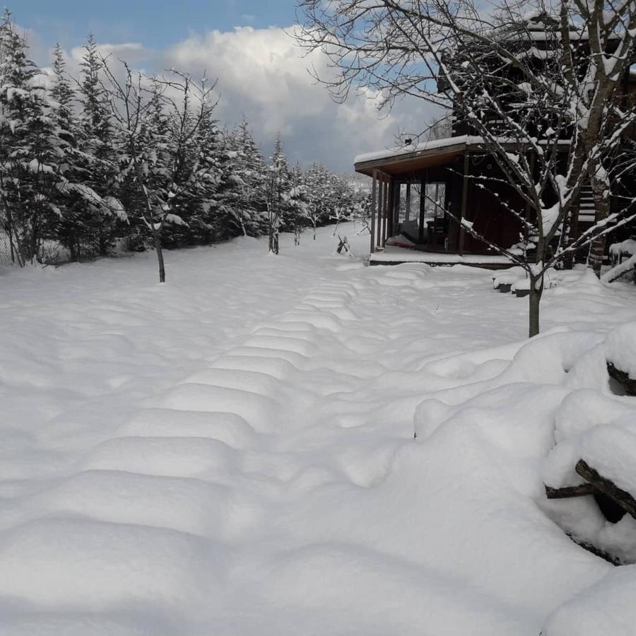 House With Backyard And Winter Garden In Agva Villa Geredeli Luaran gambar